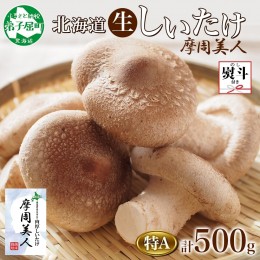 【ふるさと納税】1805. 無地熨斗 しいたけ 特A 秀品 2パック 500g 摩周美人 シイタケ 椎茸 生しいたけ きのこ キノコ 菌床栽培 肉厚 熨斗