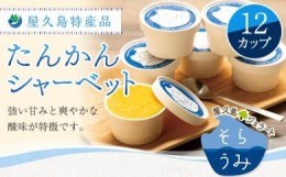 【ふるさと納税】屋久島特産品たんかんシャーベット12カップ