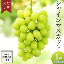 【ふるさと納税】《 先行予約 》 シャインマスカット 1房 ( 700g 以上)( 共通返礼品：下妻市 ) フルーツ 果物 マスカット ぶどう 葡萄 ブ