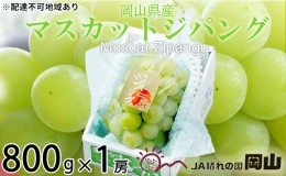 【ふるさと納税】ぶどう 2024年 先行予約 マスカット ジパング 約800g×1房 ブドウ 葡萄  岡山県産 国産 フルーツ 果物 ギフト