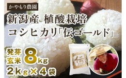 【ふるさと納税】【令和5年産米】新潟産コシヒカリ「伝ゴールド」精米8kg（2kg×4）白米 真空パック 分とく山 新潟産 新潟県産 南麻布の