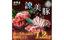 【ふるさと納税】諫美豚焼肉セット計1.2kg / 豚肉 ロース バラ モモ 焼肉 小分け / 諫早市 / 株式会社土井農場 [AHAD057]