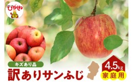 【ふるさと納税】【令和6年産 先行予約】※訳あり※ サンふじ満杯詰(約4.5kg) 東根市 山形県 東根農産センター提供 hi027-132