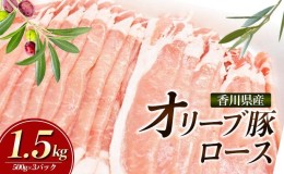 【ふるさと納税】香川県産オリーブ豚　1500g　小分け（500g×3）「5月発送または8月発送または11月発送」