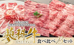 【ふるさと納税】蓼科牛食べ比べBセット