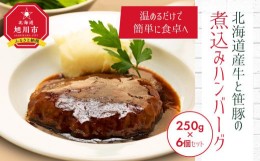 【ふるさと納税】北海道産牛と笹豚の煮込みハンバーグ250g×6個セット_00121