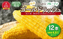 【ふるさと納税】【先行予約】黄金色で大粒 ゴールドラッシュ 12本 4.8kg (2025年8月下旬より発送予定)_00408  【 人気 北海道産 糖度 生