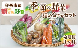 【ふるさと納税】【定期便】季節の野菜セット定期便