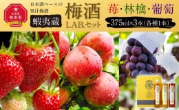 【ふるさと納税】【日本酒ベースの果汁梅酒】 蝦夷蔵 梅酒 LAB.セット（苺・林檎・葡萄）_01106