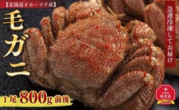 【ふるさと納税】【先行予約】北海道オホーツク産　毛ガニ　1尾　800ｇ前後（2024年5月中旬発送予定）_01190