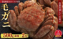 【ふるさと納税】【先行予約】北海道オホーツク産 毛ガニ 500g 前後×2尾 計1kg（2024年5月中旬発送予定）_01192