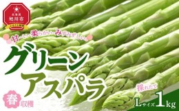 【ふるさと納税】【先行予約】春収穫グリーンアスパラ Lサイズ 1kg(2024年6月上旬〜発送開始予定)_00442