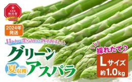 【ふるさと納税】【先行予約】夏収穫グリーンアスパラ Lサイズ 1kg (2024年7月下旬〜発送開始予定)_00414