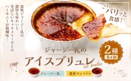 【ふるさと納税】ジャージー乳のアイスブリュレ(4個)&濃厚キャラメルのアイスブリュレ(4個)