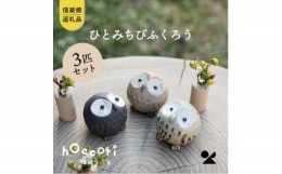 【ふるさと納税】【信楽焼・明山】　ひとみちびふくろう　3匹セット　hc-060708　