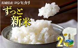 【ふるさと納税】令和5年産 コシヒカリ 冬眠米 2kg 茨城県産 白米 精米 ごはん お米 冬眠 とうみんまい ブランド米 検査米 単一原料米 国