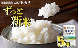 【ふるさと納税】令和5年産 コシヒカリ 冬眠米 5kg 茨城県産 白米 精米 ごはん お米 冬眠 とうみんまい ブランド米 検査米 単一原料米 国