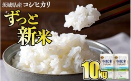 【ふるさと納税】令和5年産 コシヒカリ 冬眠米 10kg 茨城県産 白米 精米 ごはん お米 冬眠 とうみんまい ブランド米 検査米 単一原料米 