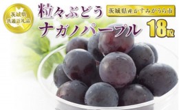 【ふるさと納税】粒々ぶどう 合計18粒 ナガノパープル【茨城県共通返礼品 かすみがうら市】ナガノパープル ぶどう ブドウ 葡萄 果物 フル