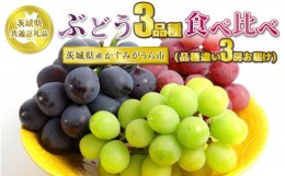 【ふるさと納税】ぶどう3品種 食べ比べ【茨城県共通返礼品 かすみがうら市】3房 3種 セット ぶどう ブドウ 葡萄 果物 フルーツ お取り寄