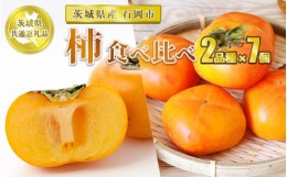 【ふるさと納税】【先行予約】柿2品種×7個【茨城県共通返礼品 石岡市】 柿 カキ かき 果物 フルーツ 2品種×7個 合計14個 お取り寄せ ※