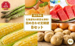 【ふるさと納税】北海道旬の野菜を満喫！詰め合わせ定期便Bセット(4回)_02068