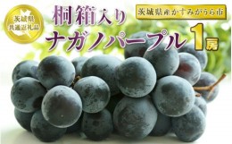 【ふるさと納税】桐箱入りナガノパープル 1房【茨城県共通返礼品　かすみがうら市産】※2024年8月〜10月下旬頃に順次発送予定