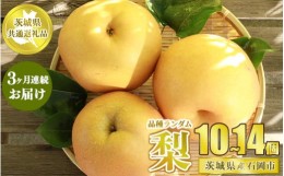 【ふるさと納税】【定期便】梨の3ヶ月連続お届けセット 10〜14個×3回【茨城県共通返礼品 石岡市産】※2024年8月〜10月下旬頃に順次発送