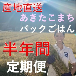 【ふるさと納税】【訳あり】【定期便】あきたこまちレトルト玄米ごはん半年間定期便（72個）【パックごはん、パックライス、乳酸菌あきた