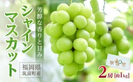 【ふるさと納税】シャインマスカット1kg（2房）2024年先行予約【シャインマスカット ぶどう ブドウ 葡萄 フルーツ 果物 果実 大粒 高級 