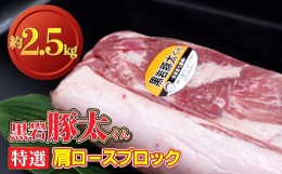 【ふるさと納税】黒岩豚太くん 肩ロース ブロックB 2.5kg