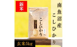 【ふるさと納税】【予約】【令和6年産 新米】南魚沼産コシヒカリ（玄米）【５ｋｇ】新潟県 特A地区の美味しいお米。