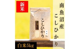 【ふるさと納税】【予約】【令和6年産 新米】南魚沼産コシヒカリ（白米）【５ｋｇ】新潟県 特A地区の美味しいお米。