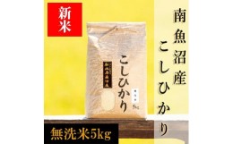 【ふるさと納税】【予約】【令和6年産 新米】南魚沼産コシヒカリ（無洗米）【５ｋｇ】新潟県 特A地区の美味しいお米。