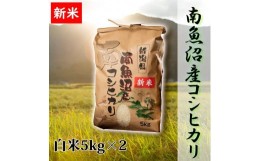 【ふるさと納税】【予約】【令和6年産 新米】【高級】南魚沼産こしひかり5kg×2袋（白米）新潟県 特A地区の美味しいお米。