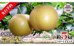 【ふるさと納税】【 先行予約 】 茨城県産 豊水 梨5kg 10玉〜14玉入り   (茨城県共通返礼品 ／下妻市） ( 2024年8月上旬発送開始 )  梨 