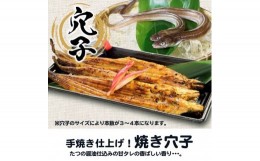 【ふるさと納税】H-199　道の駅みつ特製焼き穴子（３〜４本）