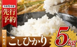 【ふるさと納税】令和6年産 新米 こしひかり 5kg （白米） 宮崎県産 | 米 こめ お米 おこめ 精米 白米 コシヒカリ 宮崎県 五ヶ瀬町