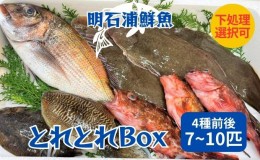 【ふるさと納税】とれとれBox（4種前後 7〜10匹）下処理可[ 鮮魚 旬 詰合せ 簡単料理 ]