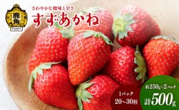 【ふるさと納税】*《先行予約》鹿角産いちご「すずあかね」約250g×2パック（1パック:20〜30粒入り）【神田農園】●2024年7月上旬発送開