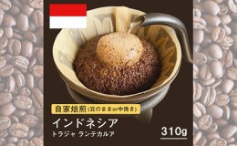 【ふるさと納税】自家焙煎コーヒー！310g トラジャ ランテカルア 22年クロップ 珈琲