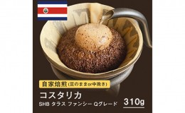 【ふるさと納税】自家焙煎コーヒー！310g コスタリカSHB タラス ファンシー Qグレード 珈琲