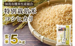 【ふるさと納税】【2024年先行予約】【令和6年産新米】新潟県加茂市産 特別栽培米コシヒカリ 玄米5kg 従来品種コシヒカリ 加茂有機米生産