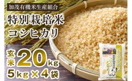 【ふるさと納税】【2024年先行予約】【令和6年産新米】新潟県加茂市産 特別栽培米コシヒカリ 玄米20kg（5kg×4）従来品種コシヒカリ 加茂