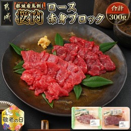 【ふるさと納税】【敬老の日】都城産「桜肉」馬刺し ロース・赤身ブロック300gセット≪9月13日〜16日お届け≫_MJ-0119-KG