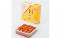 【ふるさと納税】K037　紀州　白干梅　紀和の梅　１ｋｇ　南高梅　塩分１８％　１０００ｇ