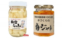 【ふるさと納税】K211　ことこばあちゃんの田舎らっきょ２５０ｇ・梅ジャムセット