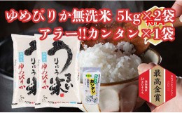 【ふるさと納税】うりゅう米ゆめぴりか　無洗米5kg×2袋・アラー!!カンタン　1個