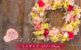 【ふるさと納税】【ドライフラワー】春のフラワーリース ミニサイズ 約17〜19cm 