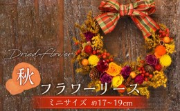 【ふるさと納税】【ドライフラワー】秋のフラワーリース ミニサイズ 約17〜19cm